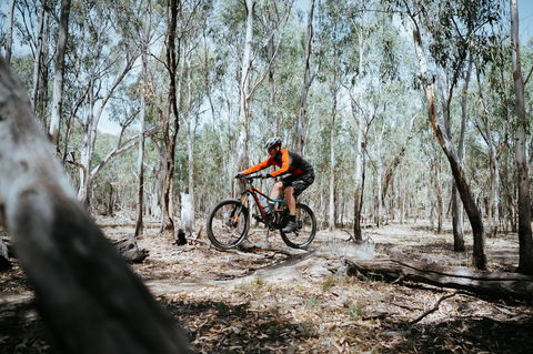 Mountain Bike Trails Deniliquin - Accommodation NT 2