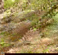 Mount Carnarvon Walking Track - Accommodation NT