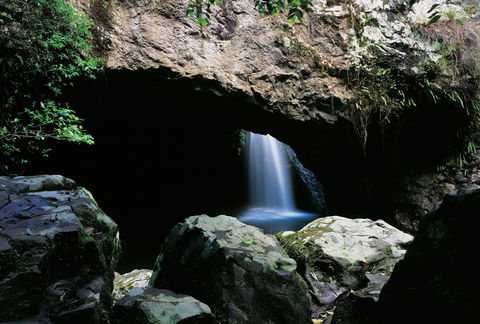 Natural Bridge Circuit, Springbrook National Park - Accommodation NT 0