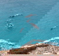 Nullarbor National Park - Accommodation NT