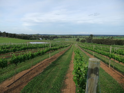 Razorback, Cawdor, Camden Park - Accommodation NT 0