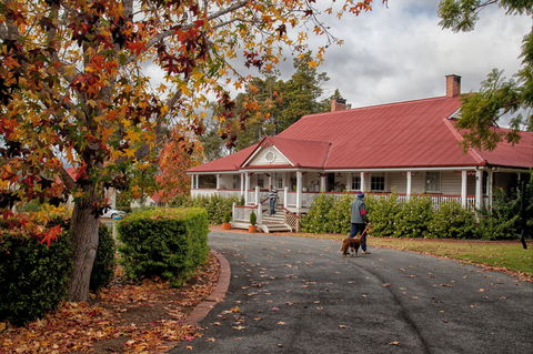 Ringsfield House, Nanango - Accommodation NT 1