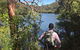 Sphinx Memorial To Bobbin Head Loop Track - thumb 0
