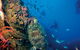 SS Yongala Dive Site - thumb 0