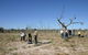 Sturt's Tree Walk - thumb 0