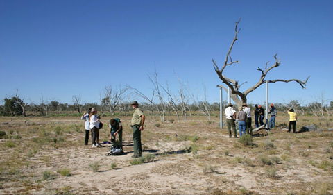 Sturt's Tree Walk - Accommodation NT 0