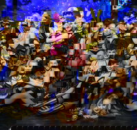 The Pink Flamingo Spiegelclub Gold Coast - Accommodation NT