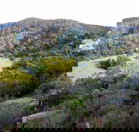 The Bellbird - NT Tourism