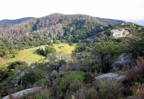 The Bellbird - Accommodation NT 0