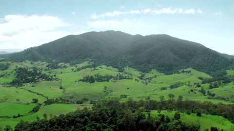 The Bellbird - Accommodation NT 1