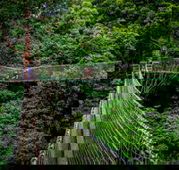 Thunderbird Park  - Tamborine Mountain Gold Coast Region - Accommodation NT
