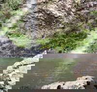 Twin Falls Circuit Springbrook National Park - Accommodation NT