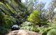 Wadbilliga Road Drive - thumb 0
