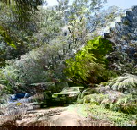 Wadbilliga Road drive - NT Tourism