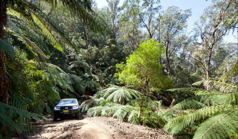 Wadbilliga Road Drive - NT Tourism 0