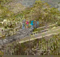 Walpole Wilderness Discovery Centre - Accommodation NT