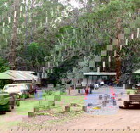 Wallingat Forest Drive - NT Tourism