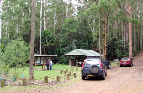 Wallingat Forest Drive - NT Tourism 0