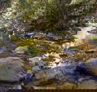 Washpool Walking Track - Accommodation NT