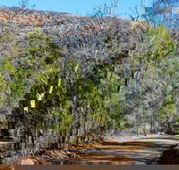 Weddin Gap to Black Spring Loop Trail - Accommodation NT