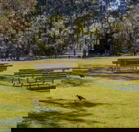 Wombeyan picnic area - NT Tourism