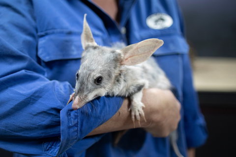 9 Day Outback Adventure - Accommodation NT 0