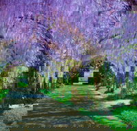 Alowyn Gardens and Nursery - Accommodation NT