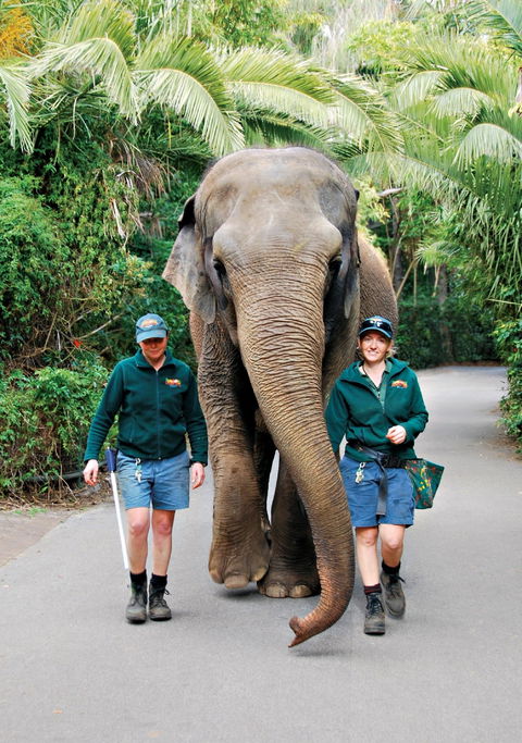 Animals And Family Fun - Accommodation NT 2