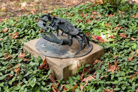 Antony Symons - Retrospective Of A Life's Work - Accommodation NT 0