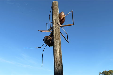 Augathella - Accommodation NT 1