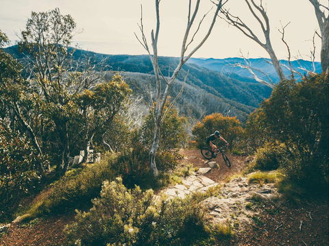 Australian Alpine Epic Mountain Bike Trail - Accommodation NT 1