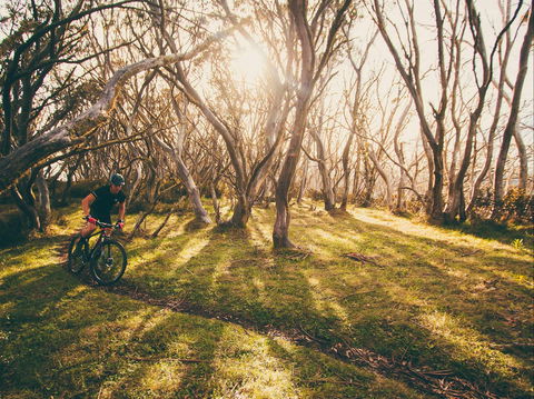 Australian Alpine Epic Mountain Bike Trail - Accommodation NT 2