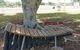Barcaldine Musical Instruments - thumb 0