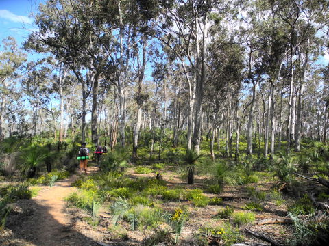 Bibbulmun Track - Accommodation NT 1