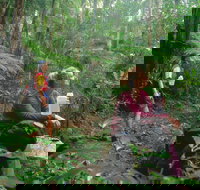 Binna Burra Lamington National Park - Accommodation NT