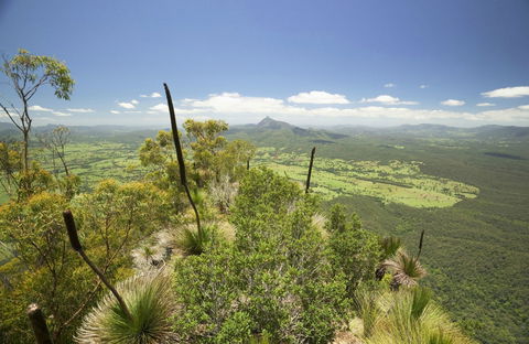Border Ranges National Park - Accommodation NT 0