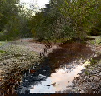 Budawang National Park - Accommodation NT