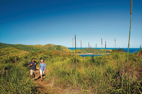Bushwalking On Keswick Island - Accommodation NT 0