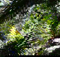 Byrrill Creek Walking Track - Accommodation NT