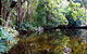 Cascade Gardens - thumb 2