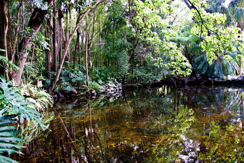 Cascade Gardens - Accommodation NT 2