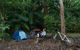 Cathu State Forest - thumb 1