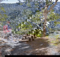 Caves circuit Lamington National Park - Accommodation NT