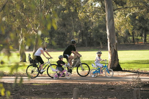 Coast To Vines Rail Trail - Accommodation NT 1
