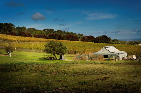 Coast To Vines Rail Trail - Accommodation NT 2