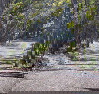 Coolah Tops National Park - Accommodation NT
