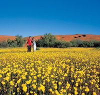 Coorow Farm Wildflower Trail - Accommodation NT