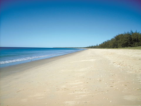 Coral Coast Pathways (Woodgate Beach Section) - Accommodation NT 0