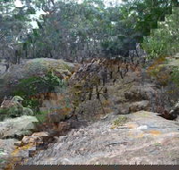 Dergholm State Park - NT Tourism