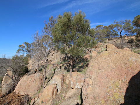 Eldorado And The Woolshed Valley - Accommodation NT 2